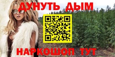 дурь Кингисепп