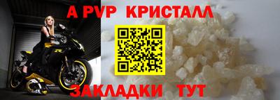 дурь Кингисепп