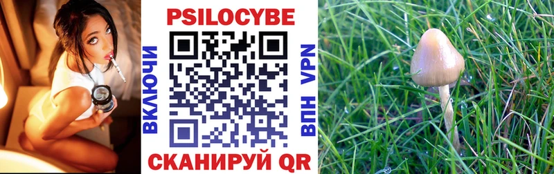 где можно купить наркотик  Кинель  Псилоцибиновые грибы Psilocybe 