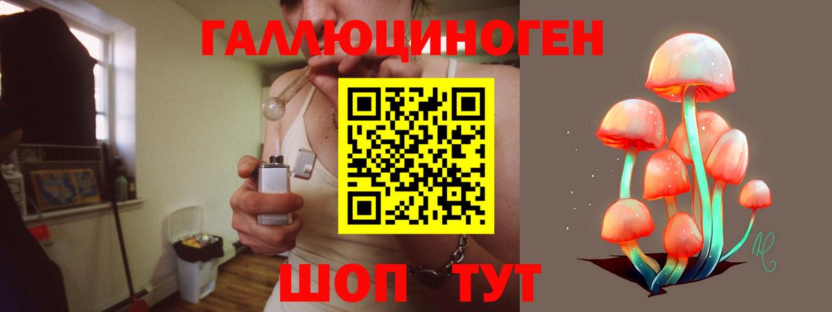 Галлюциногенные грибы Psilocybe  Псилоцибиновые грибы Cubensis  Вход с VPN  Кинель 